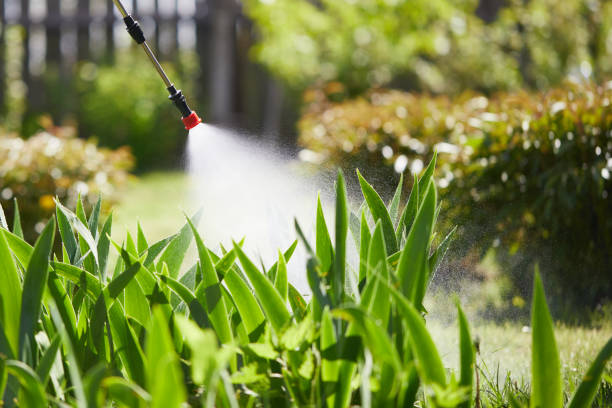 24/7 Emergency Ant Control experts in Bodfish, CA